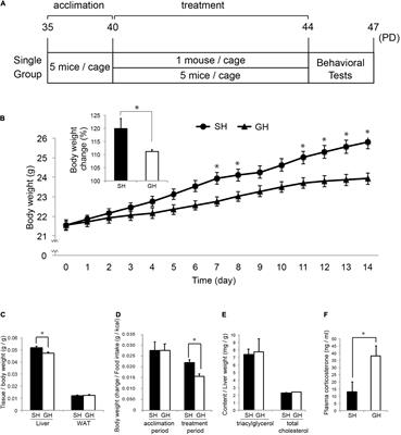 Mouse Model of Weak Depression Exhibiting Suppressed cAMP Signaling in the Amygdala, Lower Lipid Catabolism in Liver, and Correlated Gut Microbiota